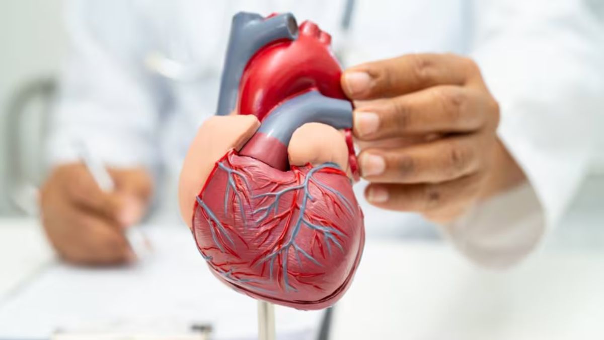 Ni caminar ni bicicleta fija: el...